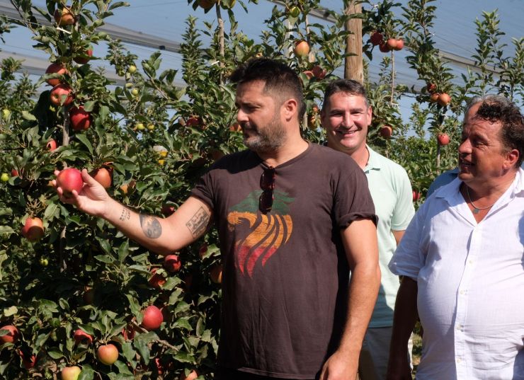 Miquel Abras recol·lectant la primera poma de Poma de Girona. Miquel Abras recol·lectant la primera poma de Poma de Girona.