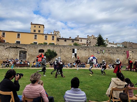 Fira Aloja, la fira medieval de Banyoles 2