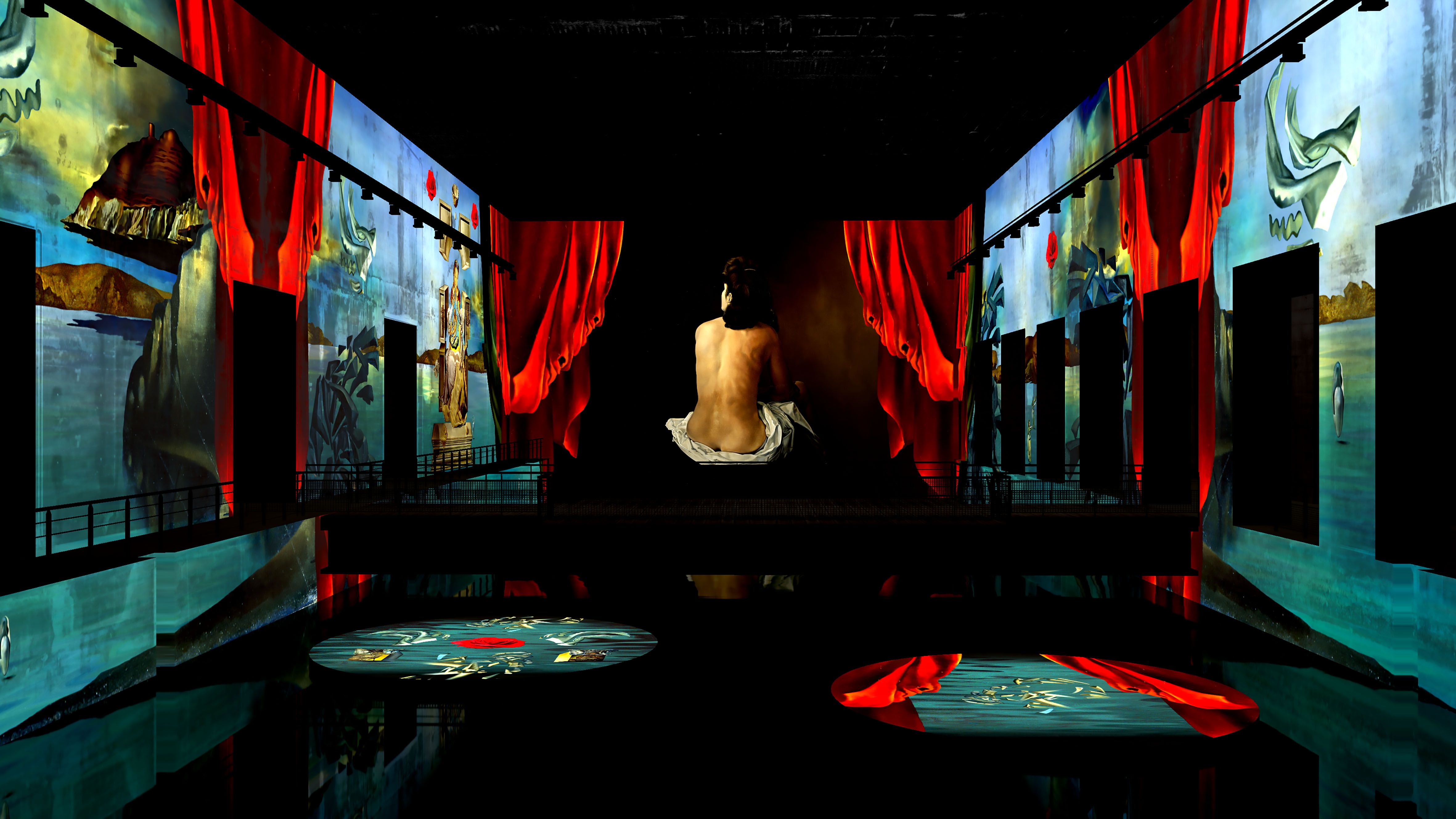 Dalí, enigma sense fi a Bordeus