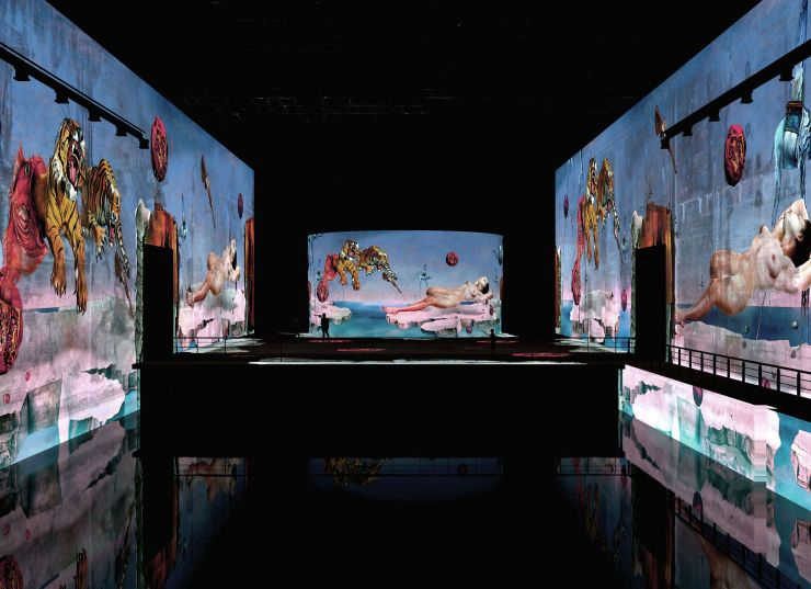 Dalí, enigma sense fi a Bordeus (França) Dalí, enigma sense fi a Bordeus (França)