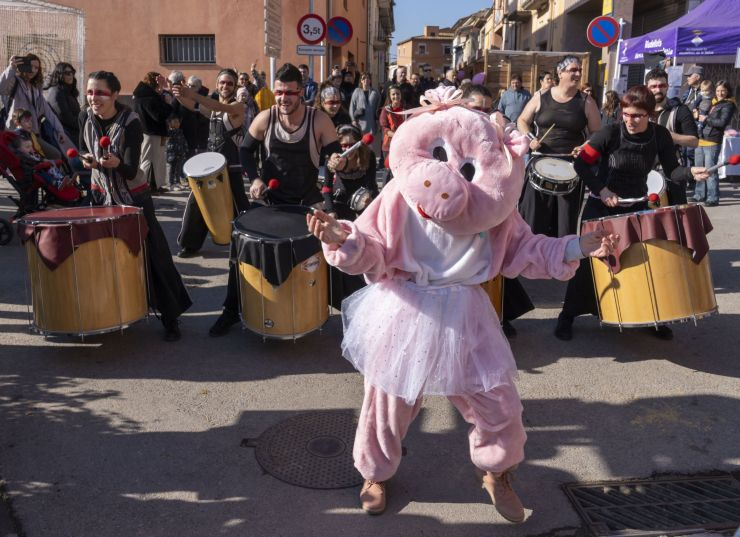 Fiporc a Riudellots de la Selva