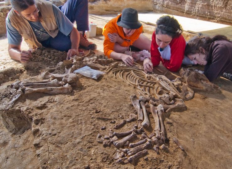 Restes prehistòriques del Camp dels Ninots a Caldes de Malavella