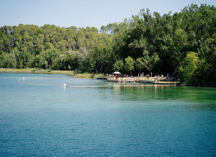 Estany de Banyoles vegetació Estany de Banyoles vegetació
