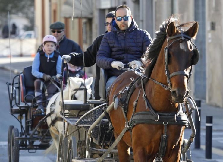 Fira sant andreutorroella cavalls