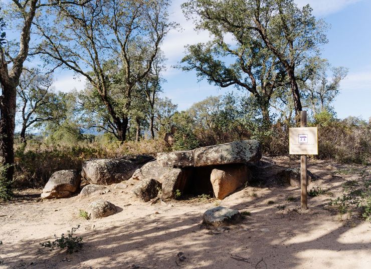 PATRIMONI MEGALITIC CAPMANY