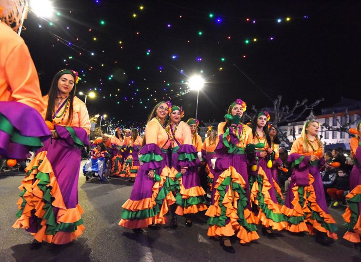 Carnaval Roses Carnaval Roses