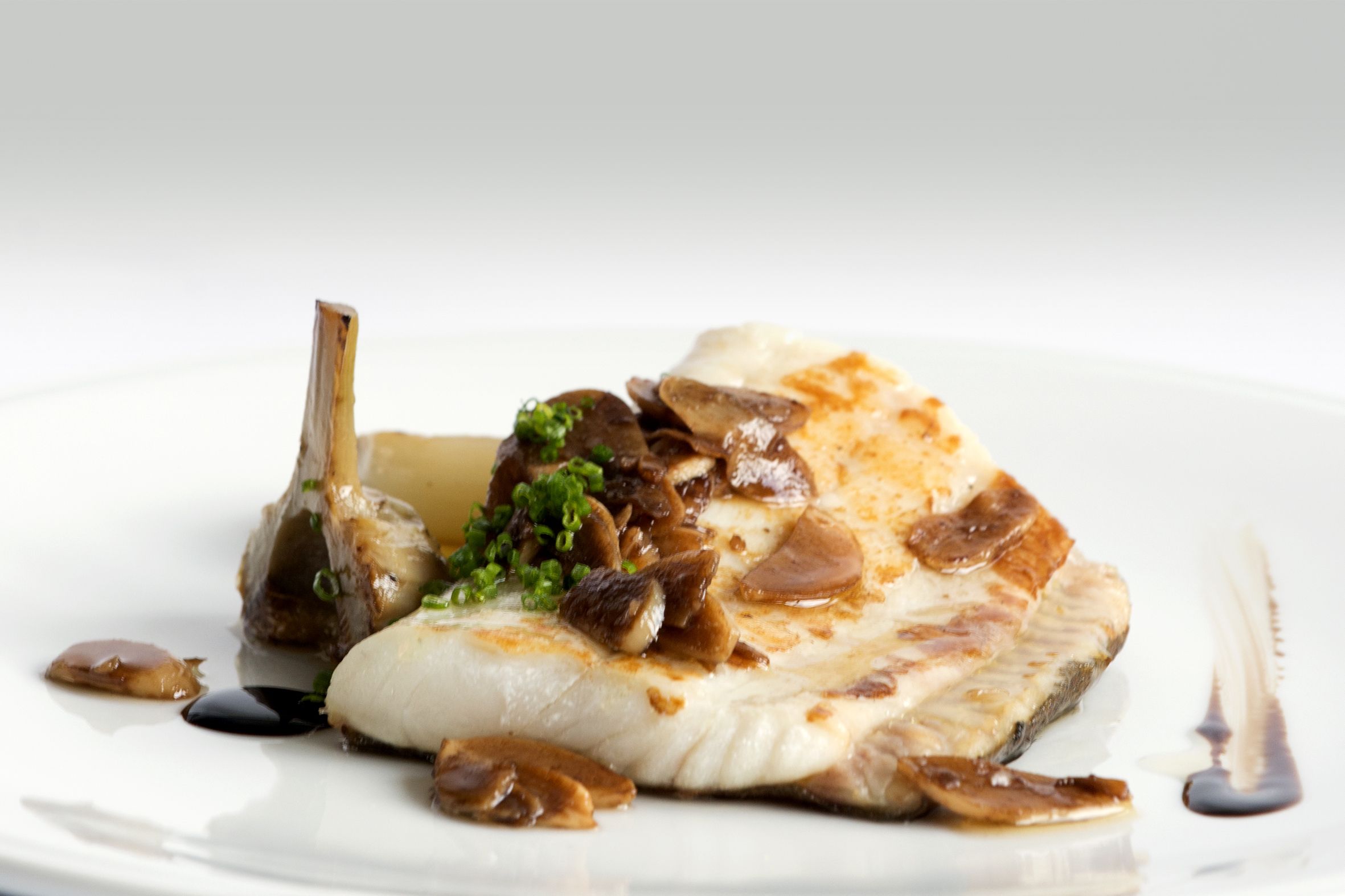 Turbot