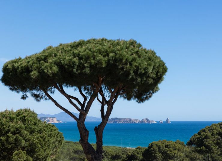 Hotel Sa Punta panoràmica