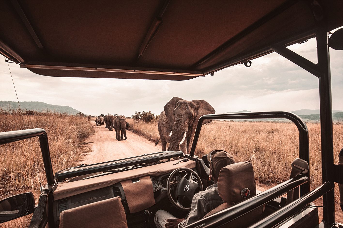 Pangea The Travel Store