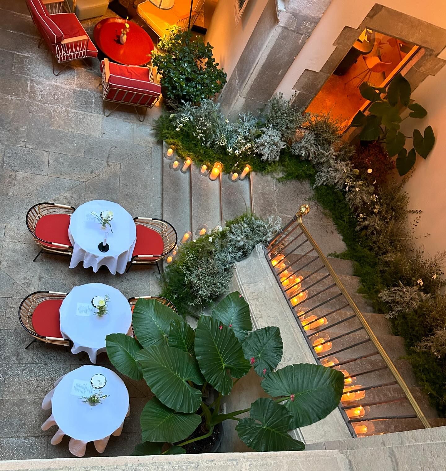 My Mother’s Garden