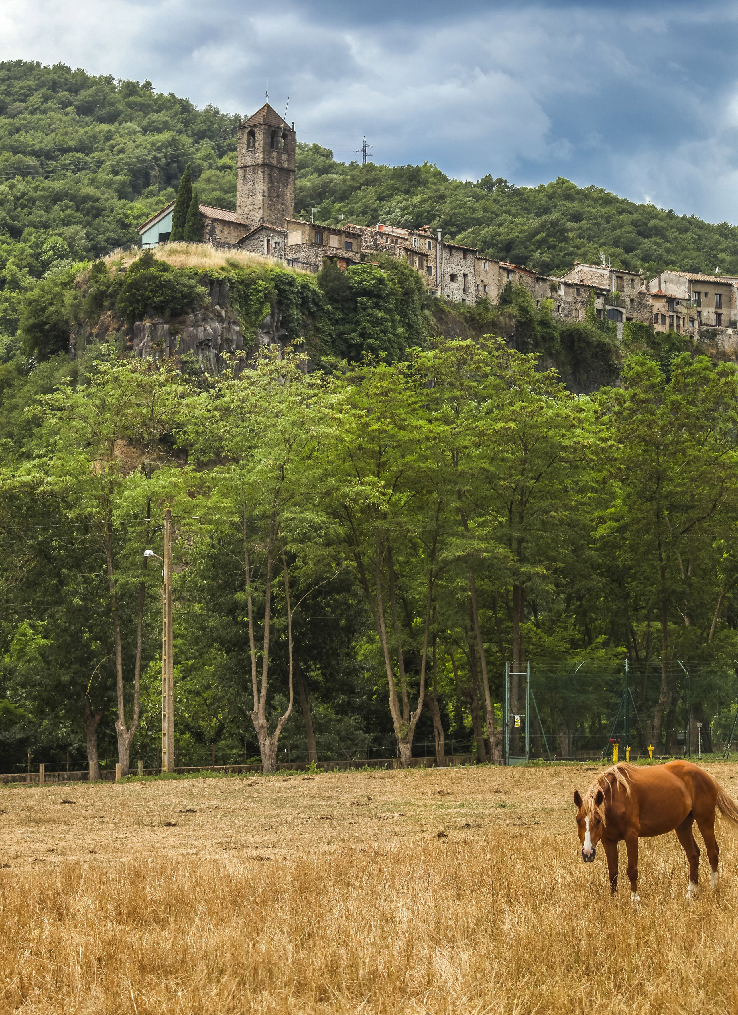 La natura 