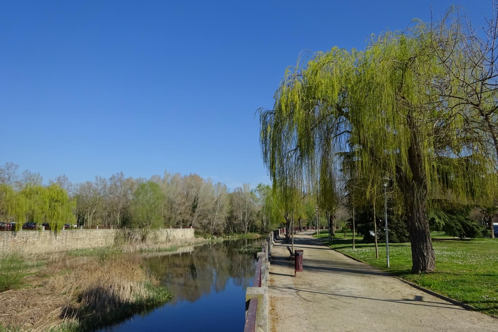 El Riu al seu pas per Girona