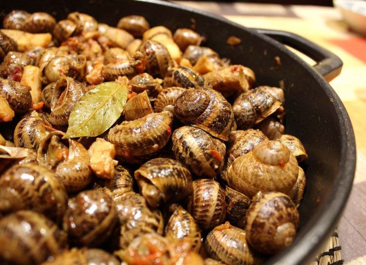 Els cargols son un dels protagonistes culinàris Els cargols son un dels protagonistes culinàris