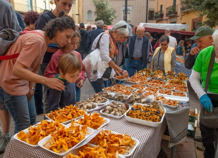 La fira del bolet La fira del bolet
