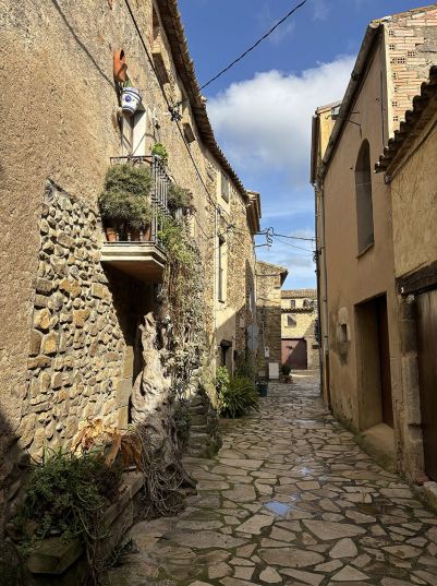Un dels carrers de la vila Un dels carrers de la vila