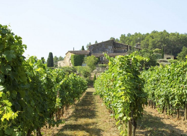 Ca l'Elsa