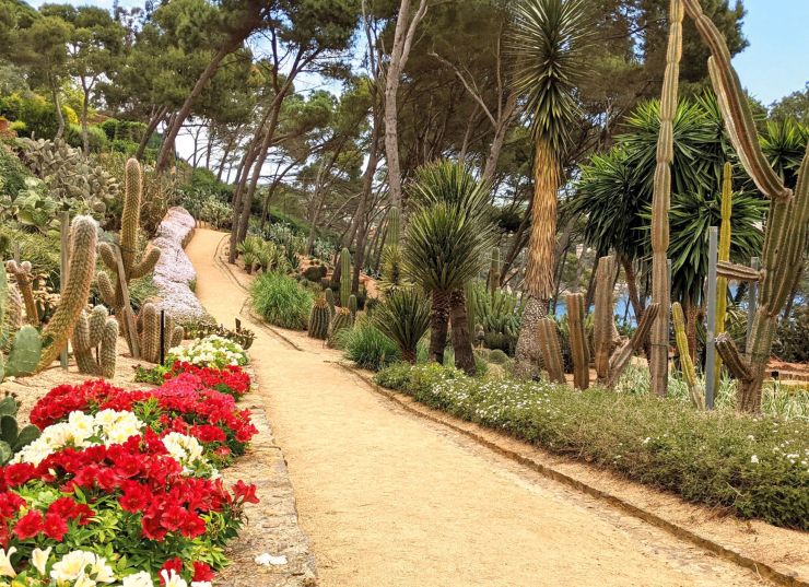 032 5 Jardí botànic de Cap Roig 032 5 Jardí botànic de Cap Roig