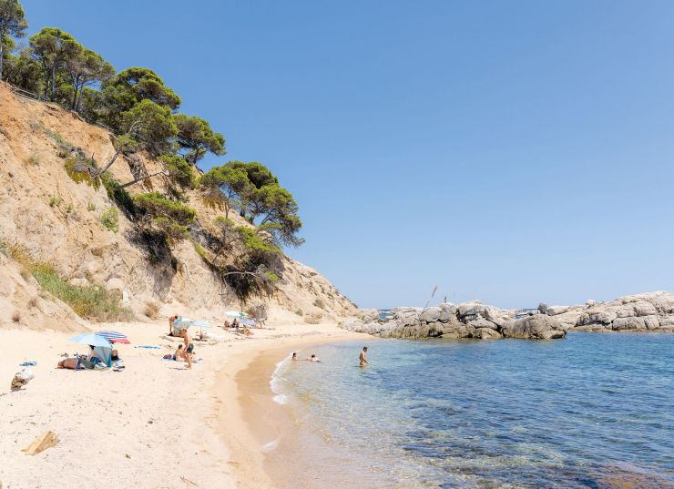 037 1 Palamos