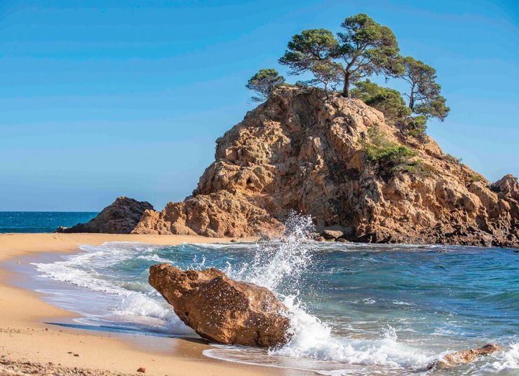 045 1 Cales uniques 045 1 Cales uniques