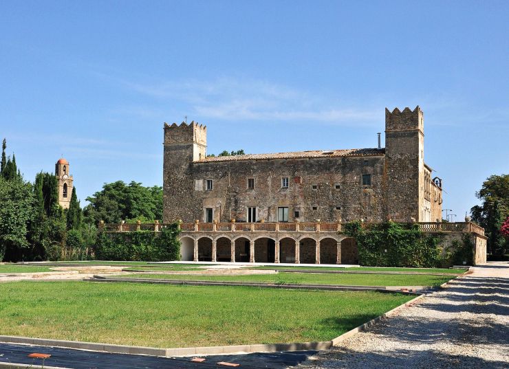 062 2 corça 062 2 corça