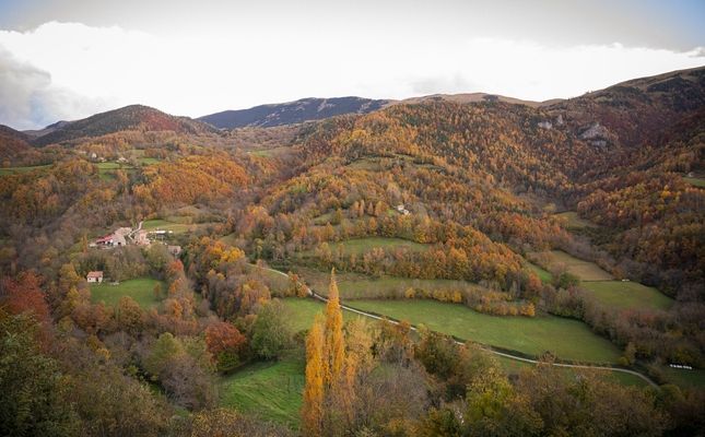 pardinesfigurants 91 1 1 55820 pardinesfigurants 91 1 1 55820