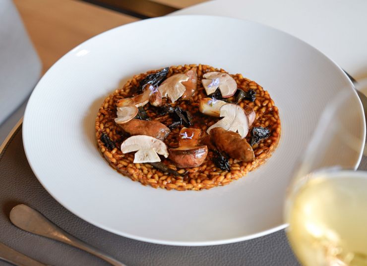 RRSS Laura Galobardes 1928Olivera, Peralada RRSS Laura Galobardes 1928Olivera, Peralada