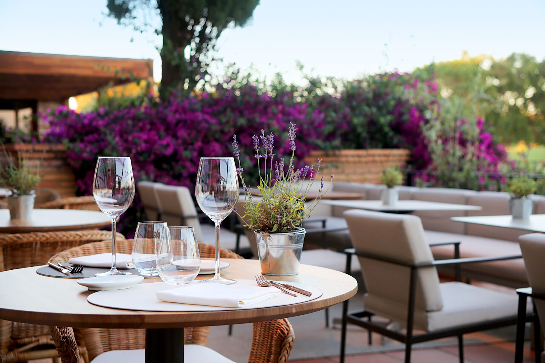 Avantguarda i creativitat de la mà de Paco Pérez