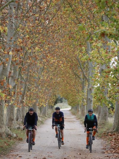 FOTO DAVID FAJULA TRAM1 FOTO DAVID FAJULA TRAM1