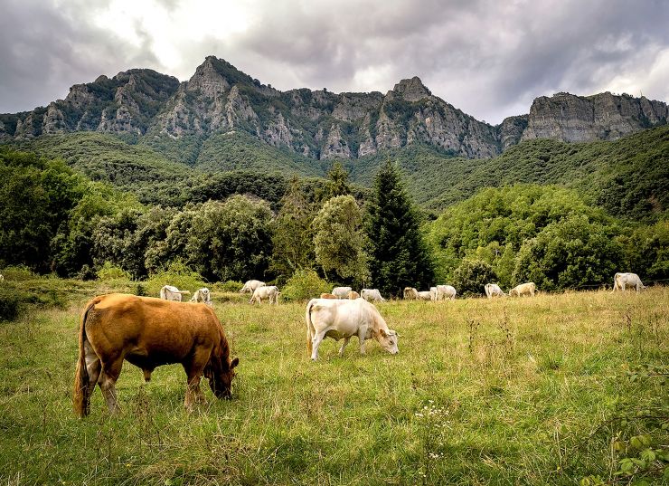 200831 013 dc VALLBAS