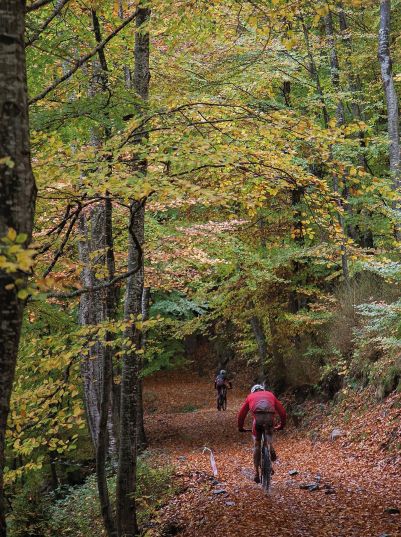 74505667 1036548843350066 3950666748864233472 n VALLBIANYA