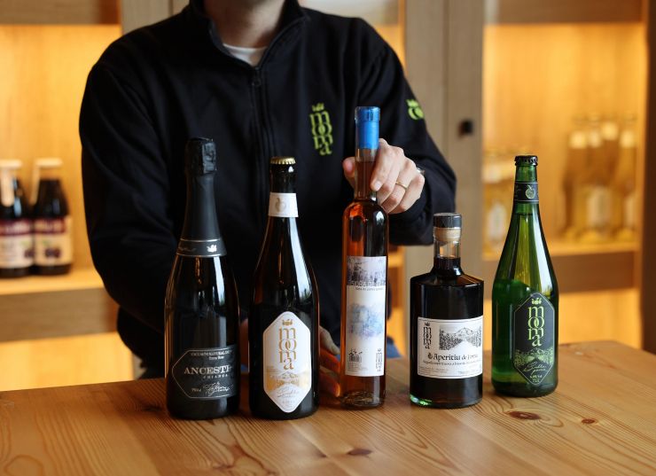 25Mooma Sagardo Forum 2 25Mooma Sagardo Forum 2