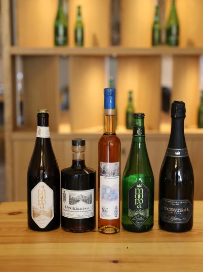 25Mooma Sagardo Forum 3 25Mooma Sagardo Forum 3