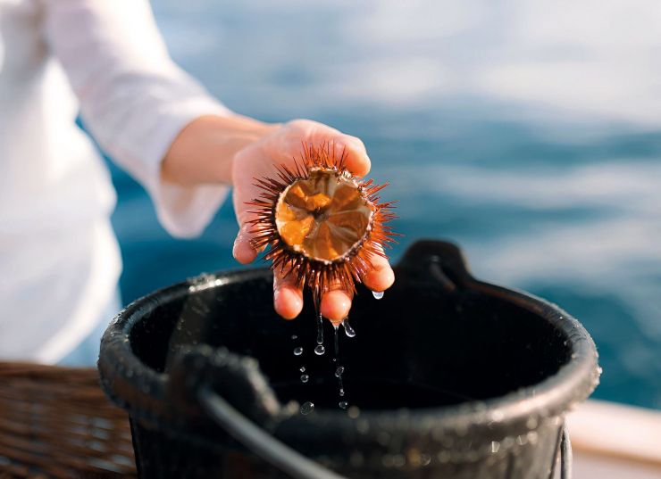 PDTCBG Telamarinera LQ 22 DF 7588 Editar