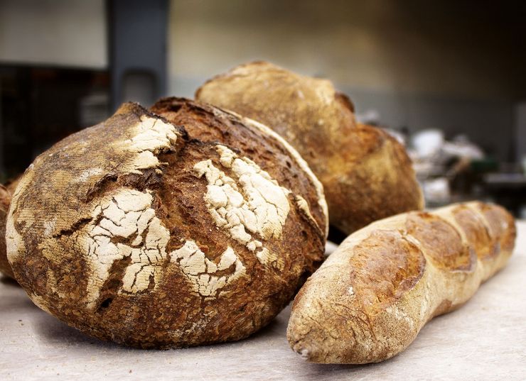 PANS copia 2 PANS copia 2