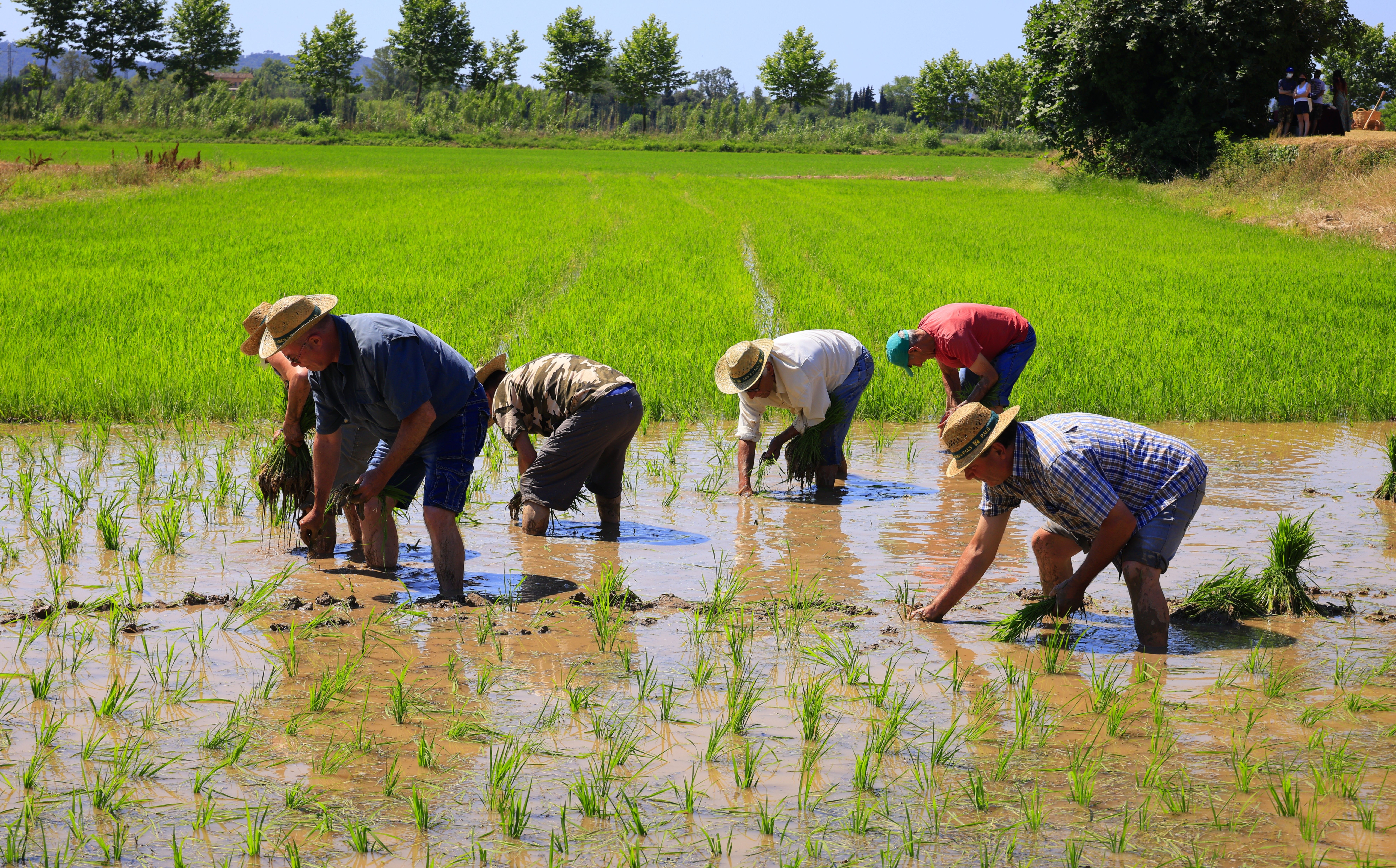 De manera artesana i tradicional