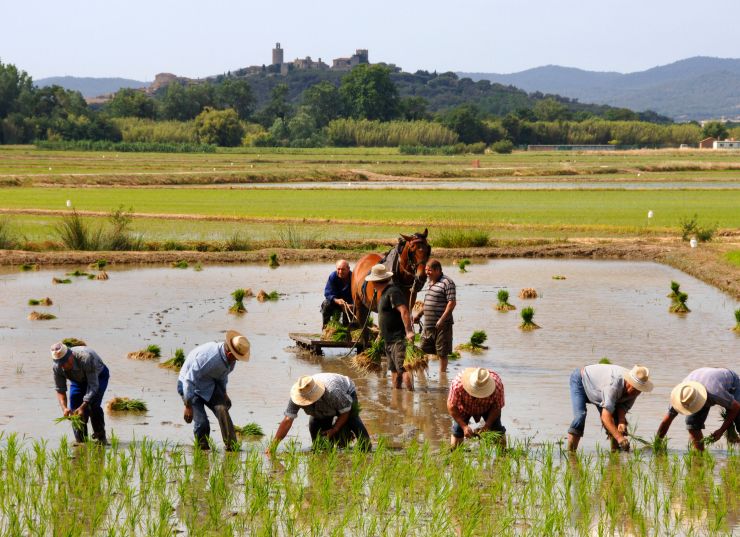 Una tradicio centenària