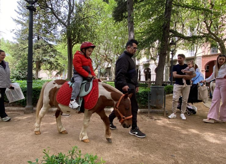 Activitats per a tota la família