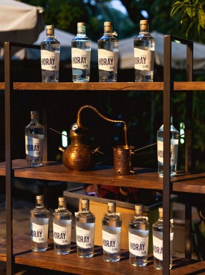 Gin Noray Gin Noray